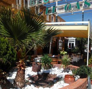 Hotel El Oasis Carchel Exteriör bild